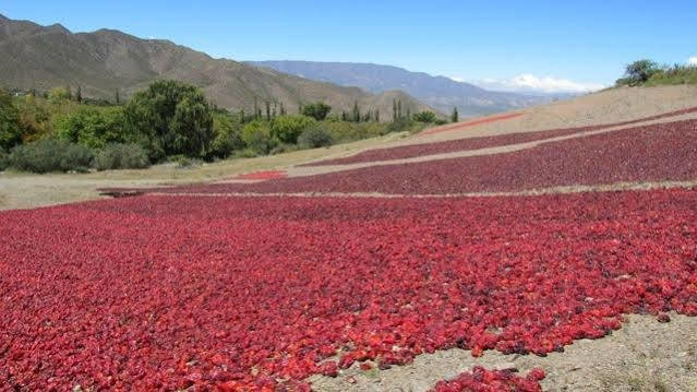 El Cortijo Hotel Boutique Cachí Kültér fotó